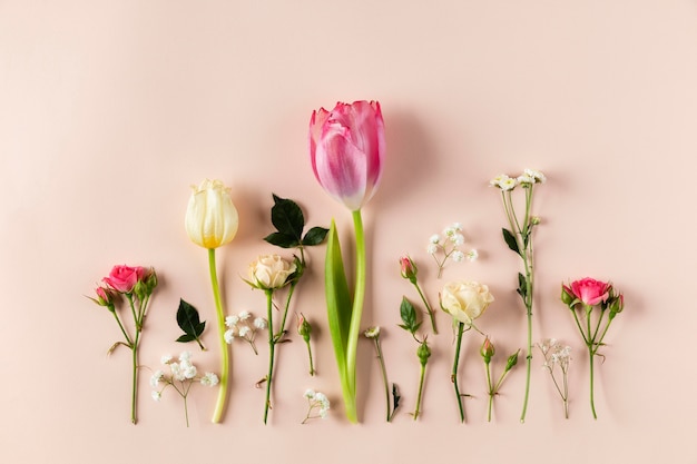 Collezione di fiori vista dall'alto