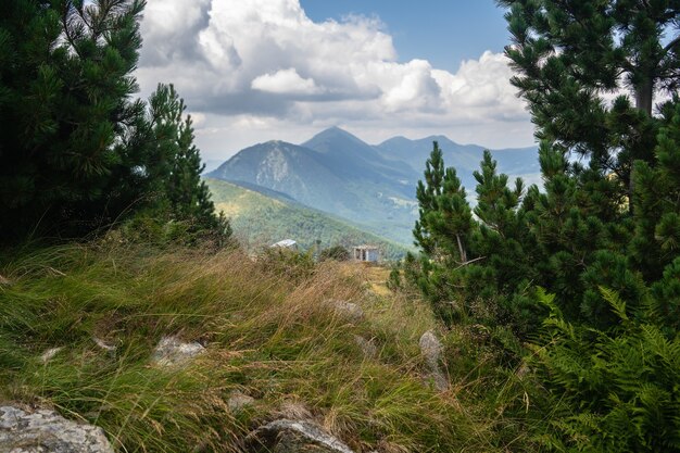 Collina ricoperta di erba e sempreverdi con montagne rocciose