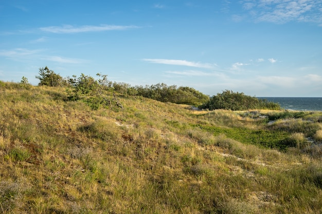 Collina ricoperta di verde con il mare sotto la luce del sole e un cielo blu