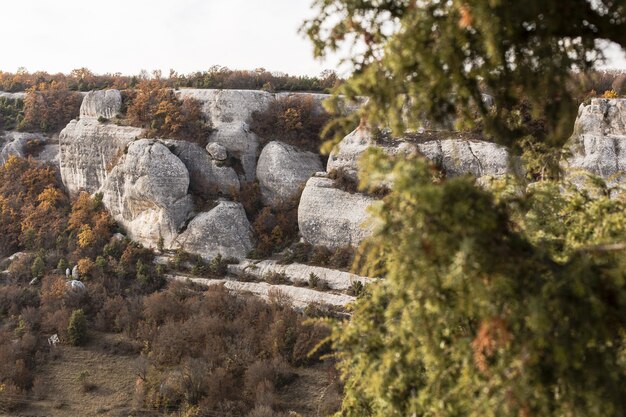 Colline rocciose bianche e alberi verdi