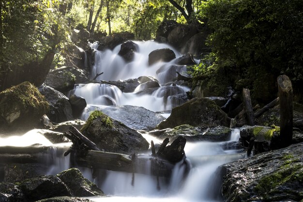 Colpo a lunga esposizione della cascata circondata da alberi