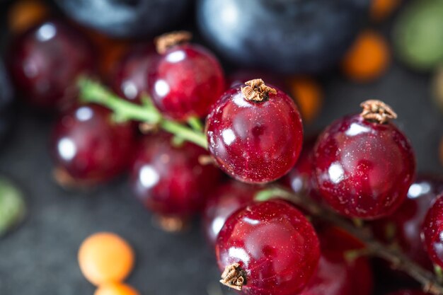 Colpo a macroistruzione di bacche di ribes rosso su sfondo sfocato