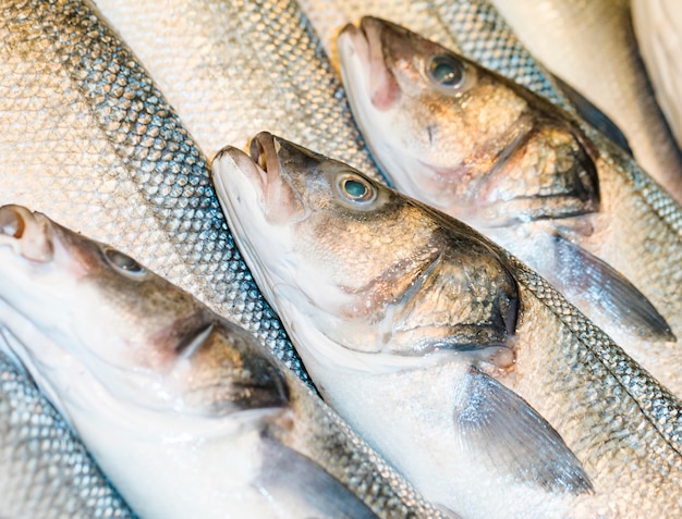 Colpo a macroistruzione di pesce fresco in negozio