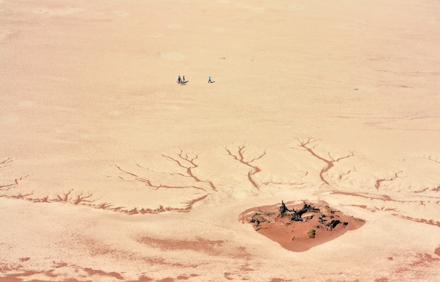 Colpo aereo della gente che sta vicino alla terra incrinata del deserto di giorno