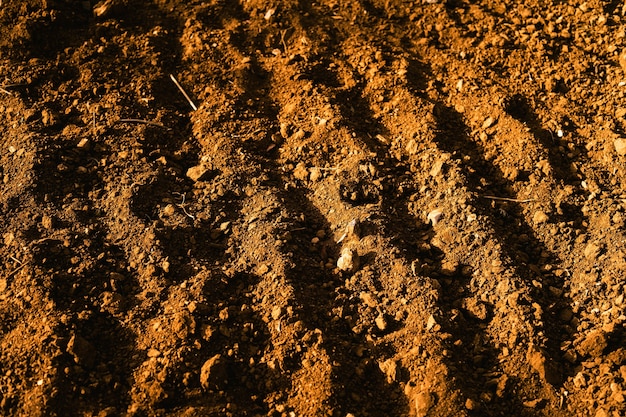 Colpo del primo piano del terreno del campo marrone con piccole pietre visibili