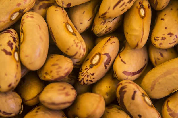 Colpo del primo piano dell'alto angolo di fagioli marroni freschi