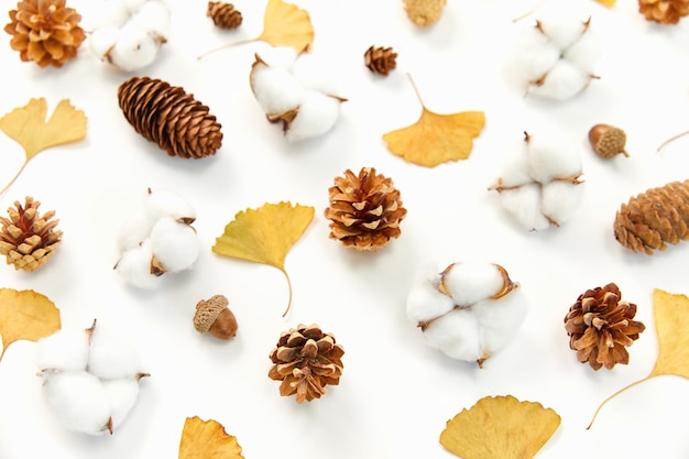 Colpo del primo piano delle foglie di autunno e dei coni di conifere, piante di coton sulla superficie bianca