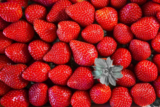 Colpo del primo piano delle fragole rosse fresche deliziose