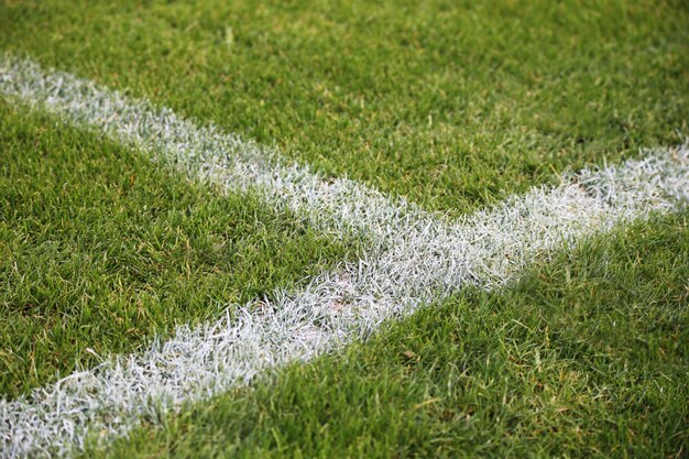 Colpo del primo piano delle linee bianche dipinte su un campo di calcio verde in Germania