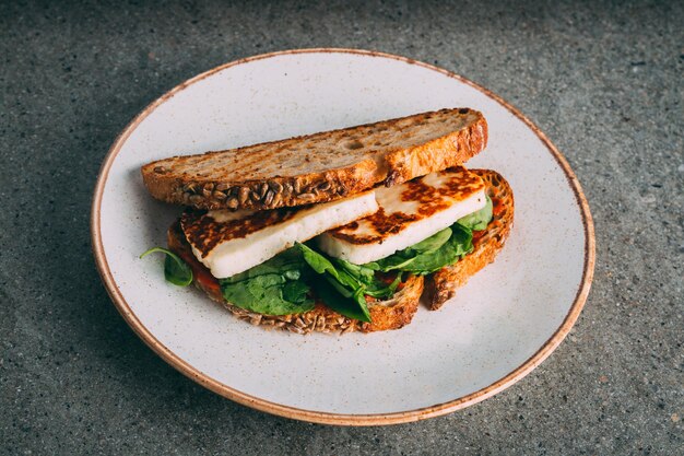 Colpo del primo piano di un panino al tofu fritto gourmet su un piatto