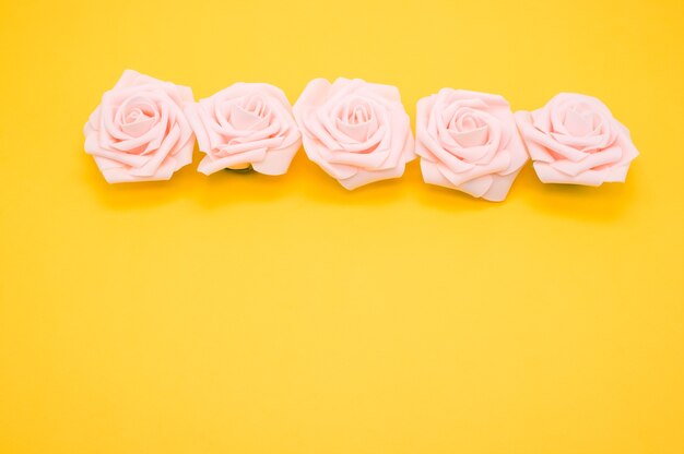 Colpo del primo piano di una fila di rose rosa isolato su uno sfondo giallo con spazio di copia
