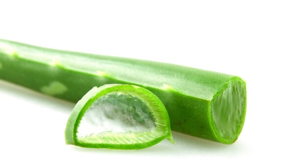 Colpo del primo piano di una pianta di aloe vera verde tagliata su una superficie bianca