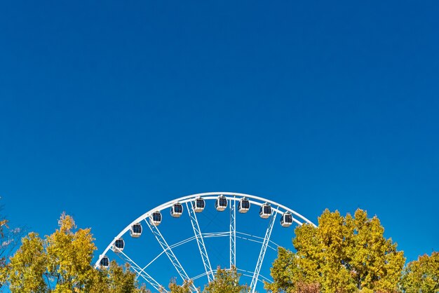 Colpo del primo piano di una ruota panoramica vicino agli alberi sotto un cielo blu chiaro