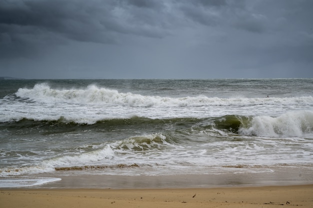 Colpo della spiaggia e delle onde della Sunshine Coast del Queensland, in Australia