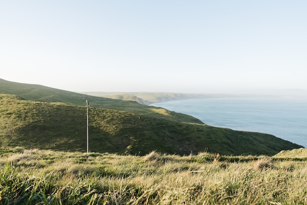 Colpo di alto angolo delle colline coperte di vegetazione che circonda l'oceano