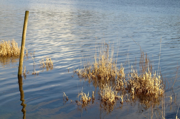 Colpo di alto angolo di acqua limpida nel lago