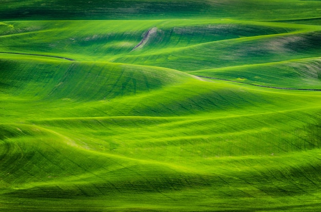 Colpo di alto angolo di colline erbose durante il giorno a Washington orientale