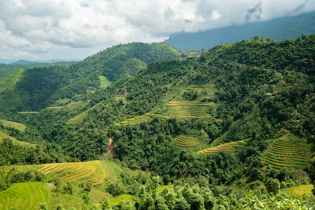 Colpo di alto angolo di un bellissimo paesaggio verde con alte montagne sotto il cielo nuvoloso in Vietnam