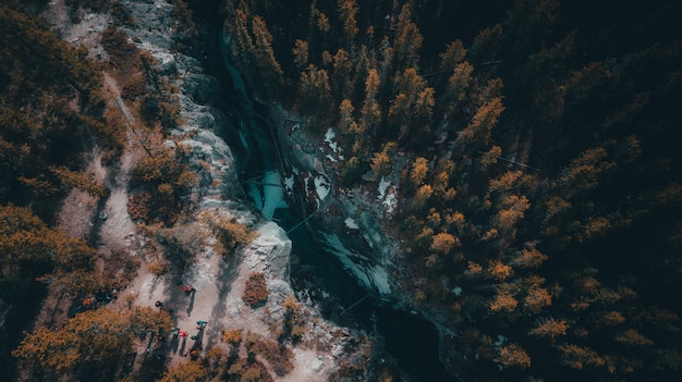 Colpo di alto angolo di un fiume che attraversa una foresta tropicale piena di alberi