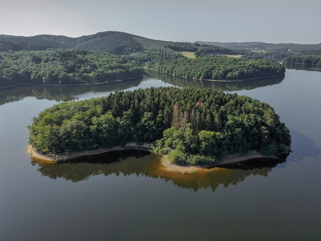 Colpo di alto angolo di una riva coperta di alberi nel mare con un cielo blu chiaro