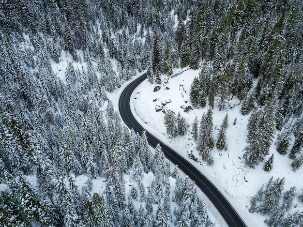 Colpo di alto angolo di una strada tortuosa in una foresta di abeti rossi coperti di neve in inverno