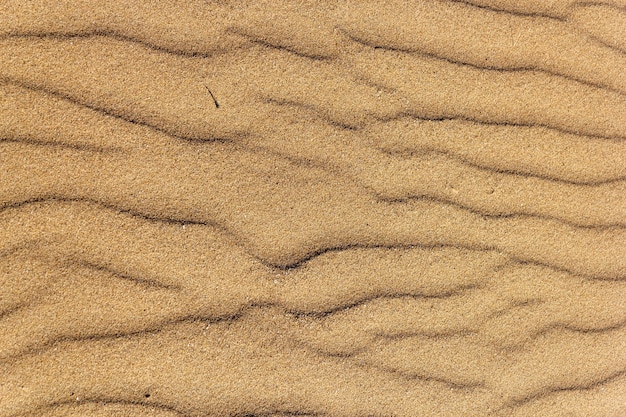 Colpo di alto angolo di una texture ruvida spiaggia di sabbia dorata