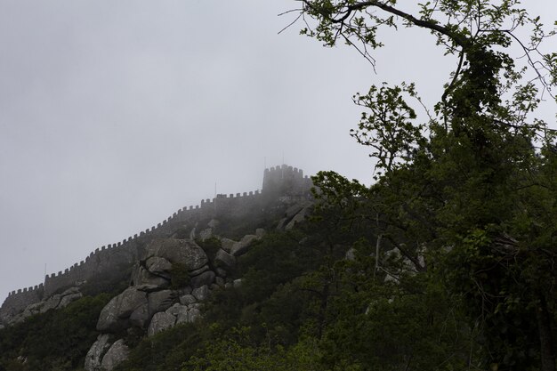 Colpo di angolo basso di un bellissimo castello su una scogliera nebbiosa sopra gli alberi