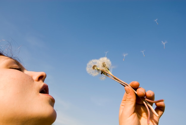 Colpo di dandelion