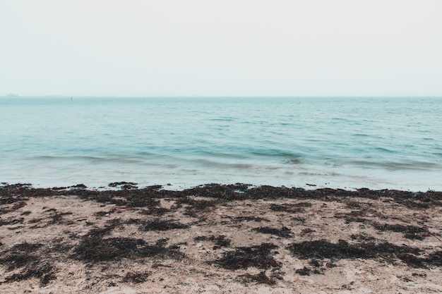 Colpo di lunga esposizione del mare presso la spiaggia di Sandsfoot, Weymouth, Regno Unito in una giornata nebbiosa