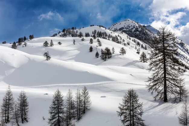 Colpo di paesaggio delle colline in piemonte italia
