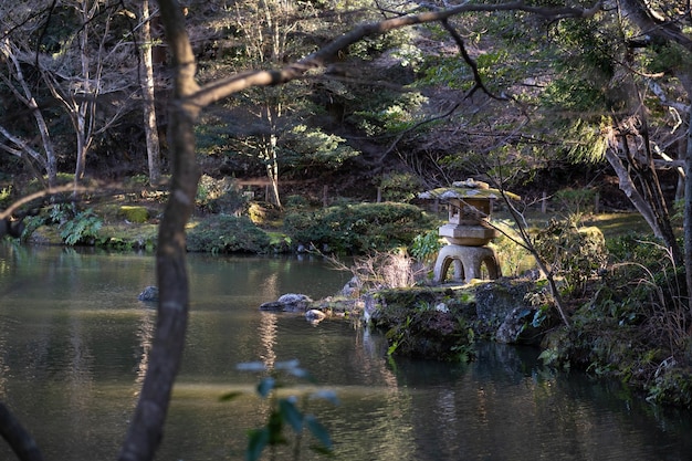 Colpo di paesaggio di un lago circondato da alberi