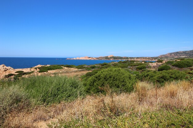 Colpo di paesaggio di una costa della strada dell'oceano con un cielo blu chiaro