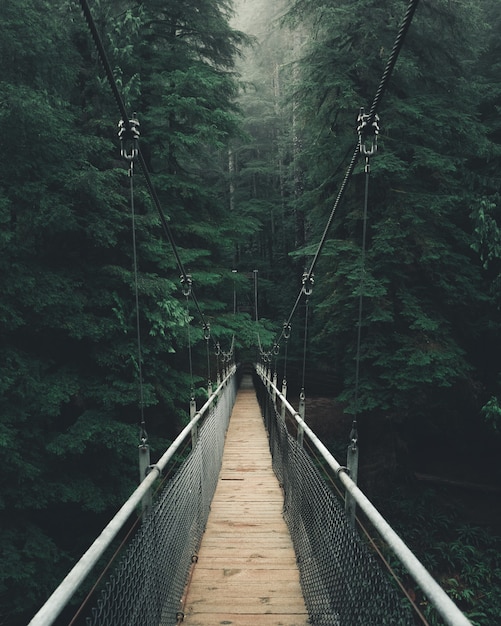 Colpo di punto di vista di uno stretto ponte sospeso in una fitta bella foresta