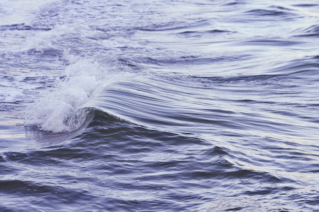 Colpo di una bella onda nel mare