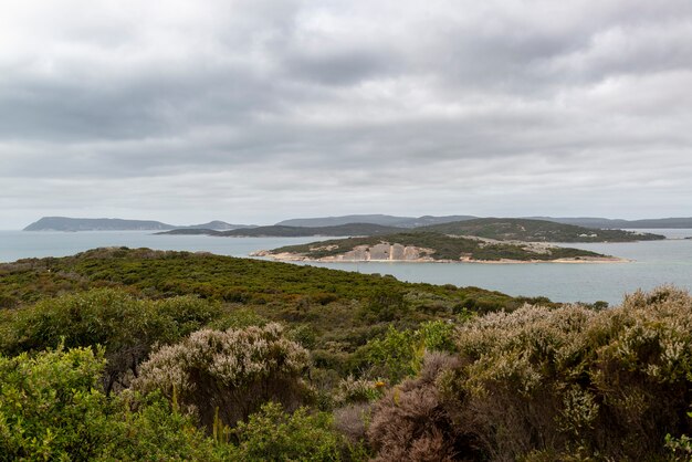 Colpo grandangolare delle isole e della vegetazione del centro nazionale di Anzac in Australia