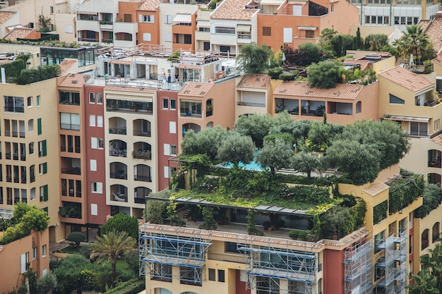 Colpo grandangolare di alberi che crescono sugli edifici di una città