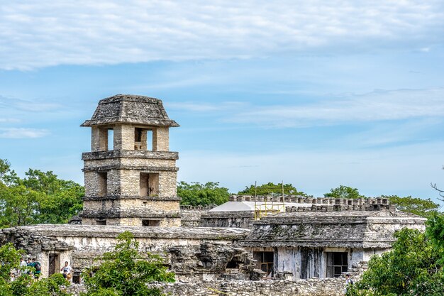 Colpo grandangolare di Palenque in Messico, circondato da alberi sotto un cielo blu chiaro