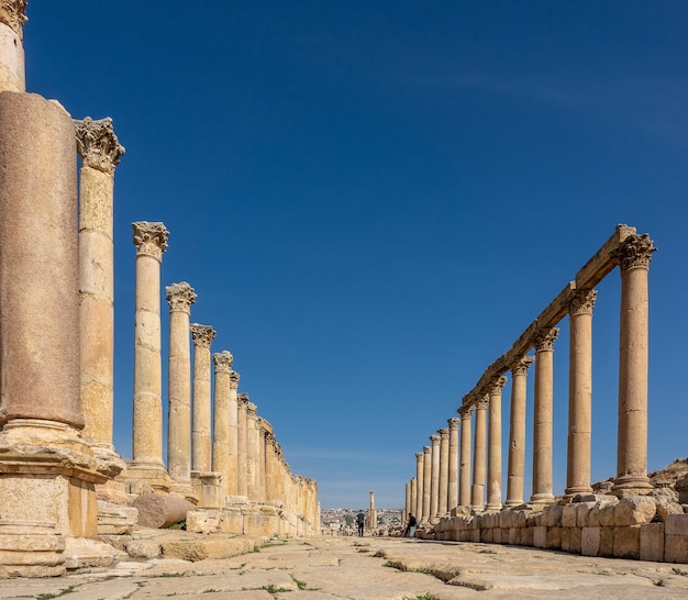 Colpo grandangolare di un'antica costruzione con torri in Giordania sotto un cielo blu chiaro