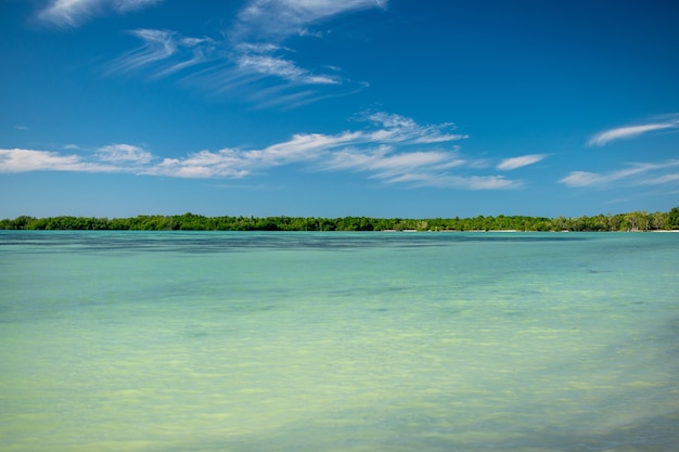 Colpo grandangolare di una spiaggia sotto un cielo blu chiaro