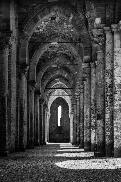 Colpo in scala di grigi dell'Abbazia di San Galgano in Toscana, Italia