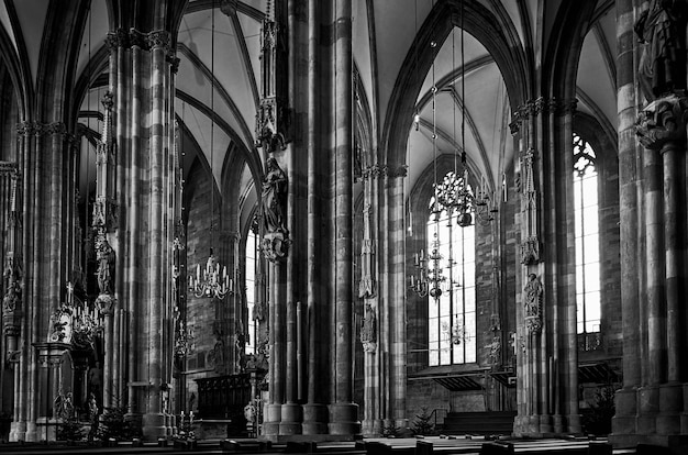 Colpo in scala di grigi della cattedrale di Santo Stefano a Vienna, Austria