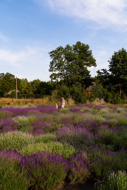 Colpo lungo donna e bambino nel campo di lavanda