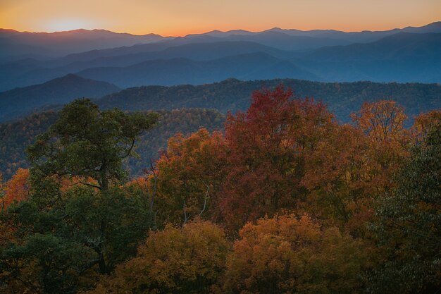 Colpo maestoso di una catena montuosa densamente boscosa nel Parco Nazionale delle Great Smoky Mountains