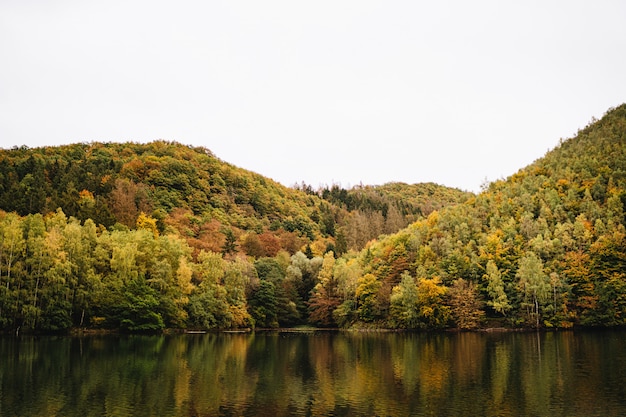 Colpo mozzafiato di un lago accanto a una foresta di montagna in autunno con il cielo sullo sfondo