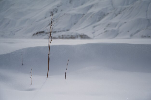 Colpo orizzontale di Spiti Valley, Kaza in inverno