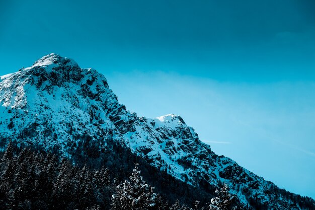 Colpo panoramico del picco di montagna frastagliato innevato con alberi alpini alla base della montagna