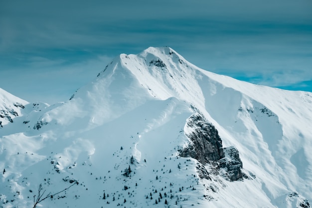 Colpo panoramico del picco di montagna innevato con alcuni alberi alpini alla base della montagna