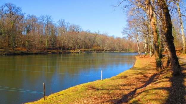 Colpo panoramico di un fiume con i marcatori di stringa su un palo