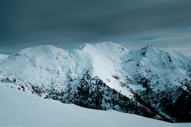 Colpo panoramico di vette innevate con alberi alpini