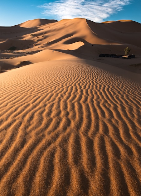 Colpo verticale dei modelli sulle bellissime dune di sabbia nel deserto